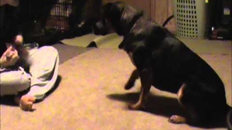 Gus Clicked Retrieve Session 4 or 5