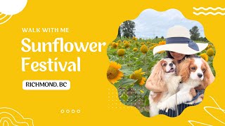 Ep. 27 Cavalier King Charles Spaniel - Summer Fun Series - Sunflower Festival by Tantissimo the Cavie 926 views 1 year ago 3 minutes, 46 seconds