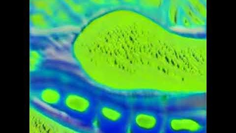 Training Image Experiment   Latent Space Walk