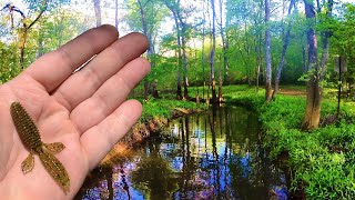 THESE Fishing Lures Are ABSOLUTELY IRRESISTIBLE In Creeks!