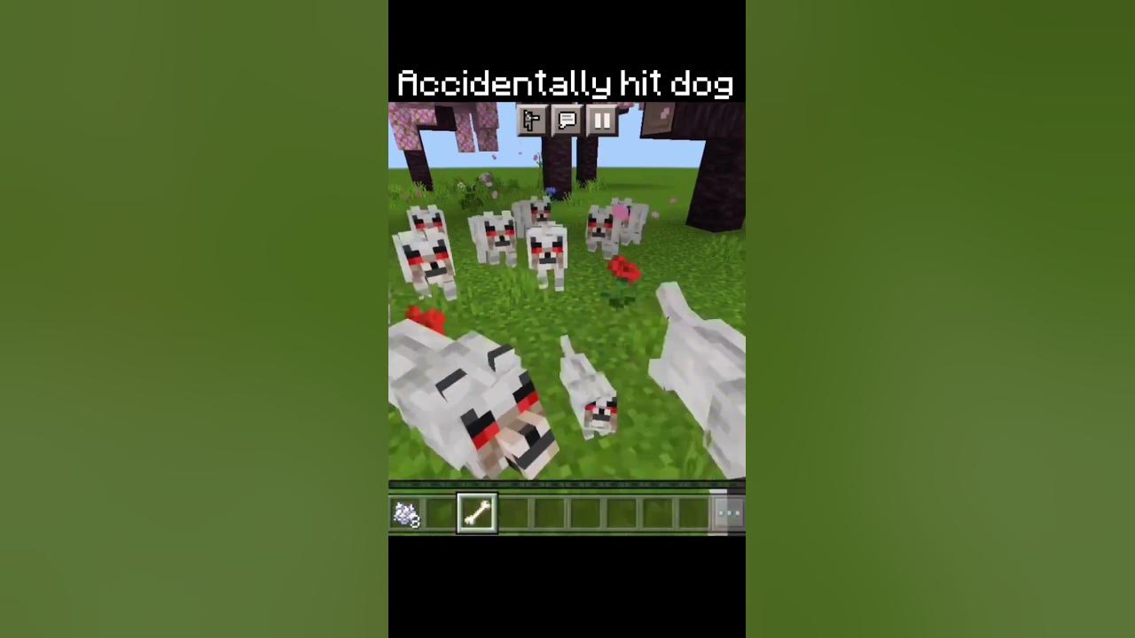 taming-a-dog-in-minecraft-gone-wrong-shorts-youtube