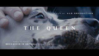 | The Queen |  Official Video #woodcockhunting