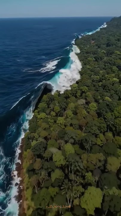 holi gopro