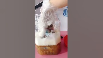 [ Nhà Em - 1] Cách làm Enzym Bồ Hòn