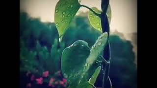 Adai mazhai varum adhil song bgm whatsapp status in 15 sec