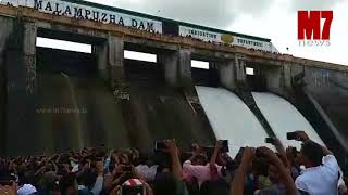 Download lagu മ ല ന്പു ഴ അ ണ ക്കെ ട്ടി ന് റെ ഷ ട്ട റു ക ള് തു റ ന്നു malabuzha dam മ ല ന്പു ഴ അ ണ ക്കെ ട്ടി ന് റെ ഷ ട്ട റു ക ള് തു റ ന്നു malabuzha dam