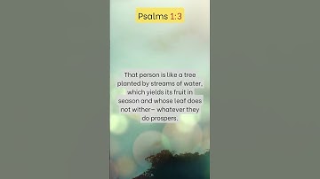 Thumbnail of 📖 Psalm 1:1 Part 3 (NIV) 📖