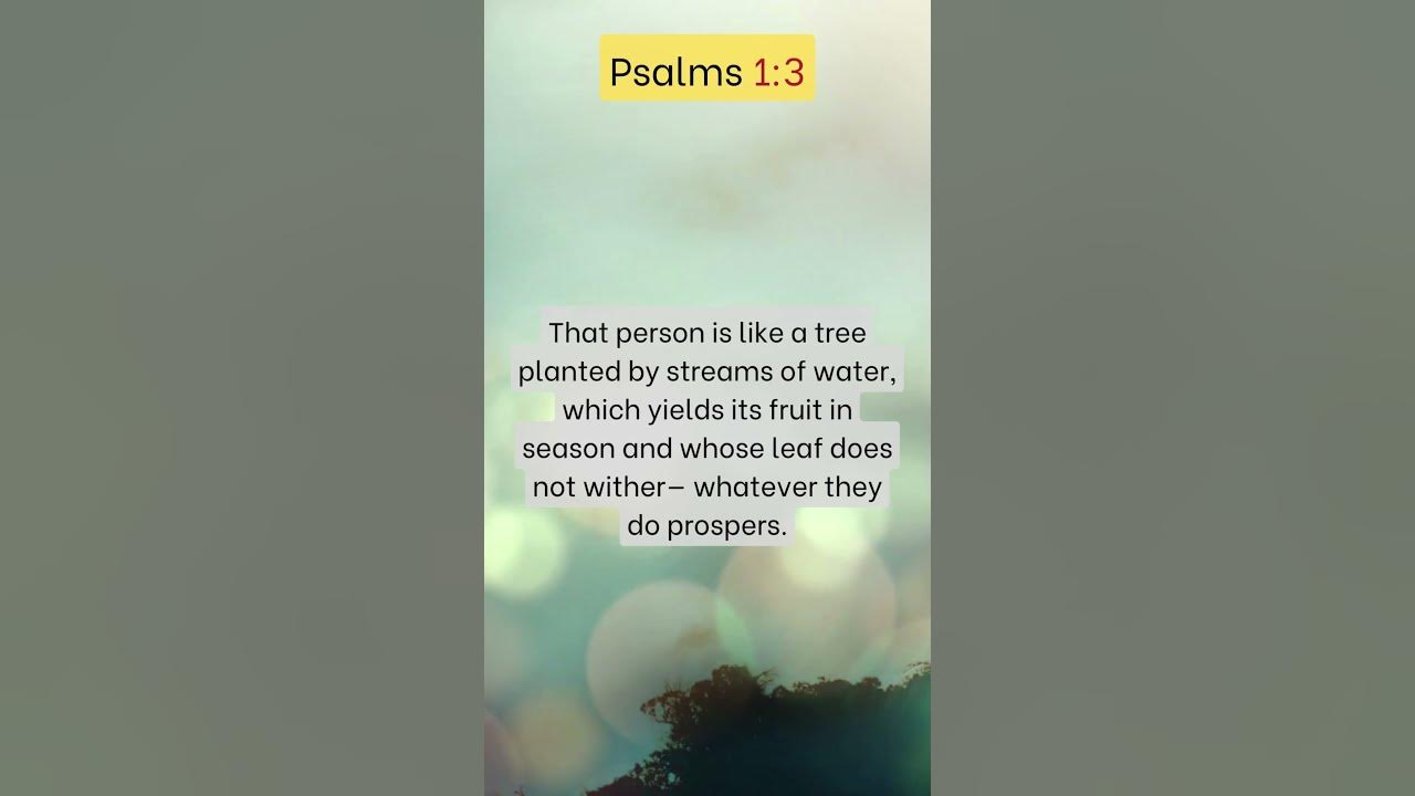 ๐ Psalm 1:1 Part 3 (NIV) ๐ ๐ Psalm 1:1 Part 3 (NIV) ๐