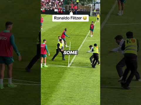 INSANE ATTEMPTS TO