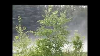 Собаки в Град 2 7 2014 г Собаки в Град 2 7 2014 г