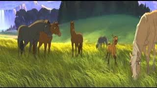 Mustang z Dzikiej Doliny - Oto ja