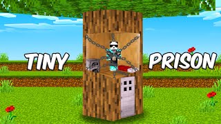 My Friends Trapped Me in a Secret TINY PRISON in Minecraft