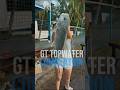 Giant Trevally topwater compilation #gt #gianttrevally #malaysiafishing #topwaterfishing