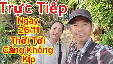 Mỵ Nguyên Vlog đang phát trực tiếp! Thời Tới Rớt M.ạng Hoài .#mỵvlog