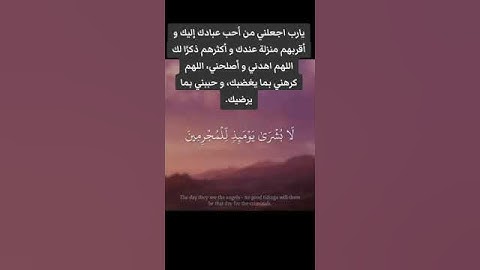 تلاوة خاشعه ماجد الزامل