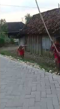 Viral Lucu  anak kecil berantem sama orang gila '😁😂😅😉😲480p