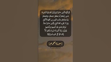 سورة التحريم الآية ٨ بصوت الشيخ محمد صديق المنشاوي