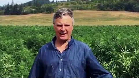 Rivulis | Industrial Hemp Testimonial | Steve Goff...