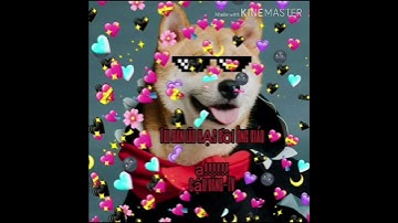 Intro của CẬU VÀNG nè mọi người ơi