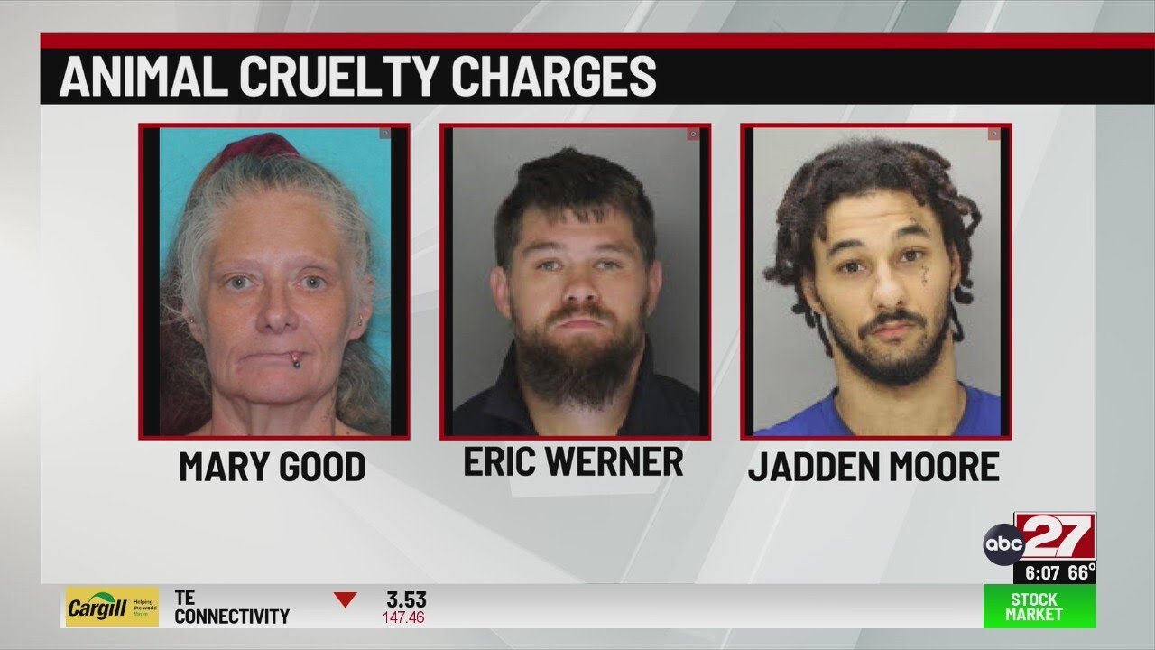 Three wanted on dozens of animal cruelty charges in Lancaster County ...