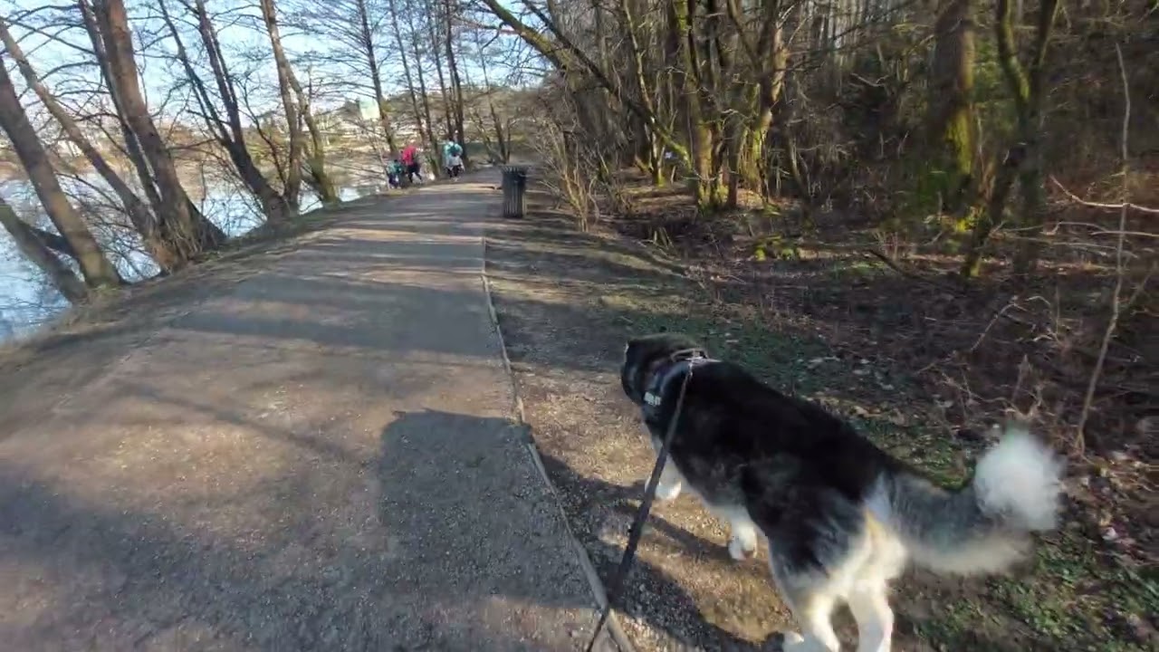 Sunny walk around the Koseze pond