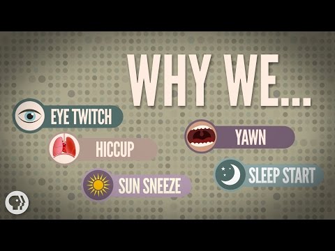 Video: Why Do We Yawn, Sneeze And Hiccup?
