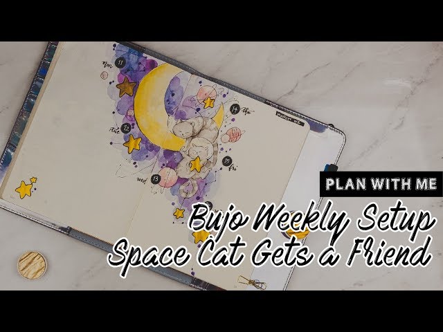 Plan With Me | Bujo Weekly - Space Cat Gets a Friend