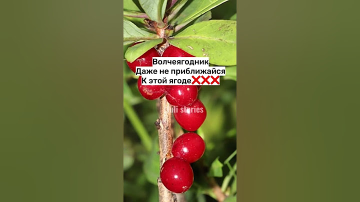 НИКОГДА НЕ ЕШЬ ЭТИ ЯГОДЫ