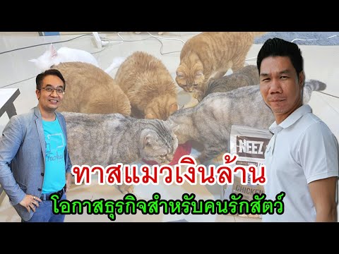 ร้านขายอาหารแมว ออนไลน์ สร้างรายได้เป็นกอบเป็นกำ | คุณ จิรภัทร แตงน้อง