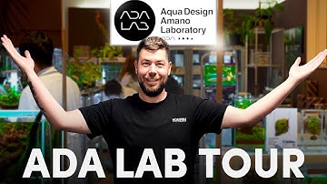 Inside the ADA Labs Store in Tokyo Tour | Aqua Design Amano Pop-Up Store