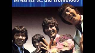 Video thumbnail of "The Tremeloes -  Suddenly You Love Me"