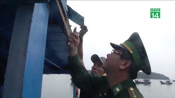 VTC14 | Tàu ngư dân Quảng Ngãi bị tàu lạ đâm va