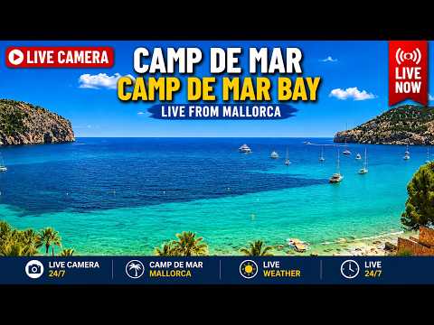 🌞 Mallorca Webcam Camp de Mar / Playa Roca | 4K UHD  24/7 from Mallorca #beach #Balearics #CampdeMar