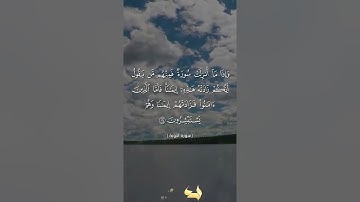 سورة التوبة / الآيات 122-129