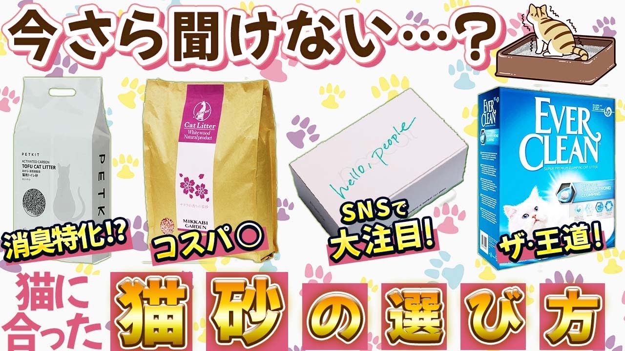 【コレを見れば