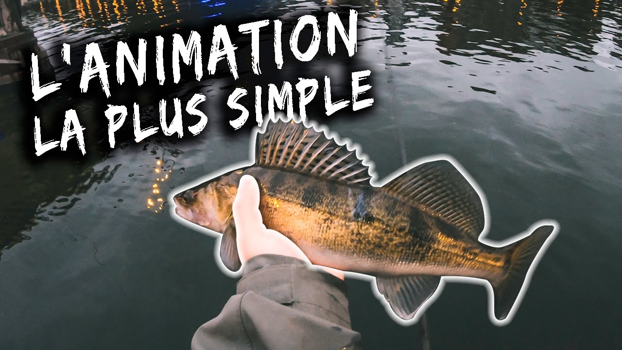 Pêche du sandre aux leurres souples : L'animation la plus simple ! - YouTube