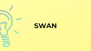 What is the meaning of the word SWAN?