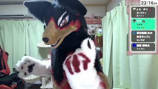 【fursuit/獣化#133】水曜のもふもふタイム🐾【ジュージュー/JuuJuu】#fursuit #獣化 #live