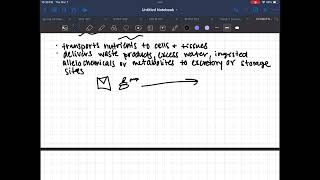Insect Hemolymph And How It Pumps
