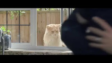 O2 Guru and Dad.  Master your smart tech with an O2 Guru – O2 TV Advert