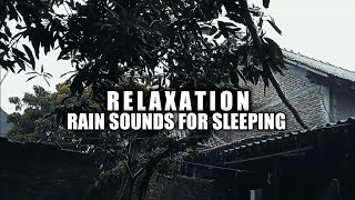 Rainfall Rhapsody 🌧️🎶 | 30-Minute Serenade for the Sleep-Deprived | Rain Sounds For Sleeping