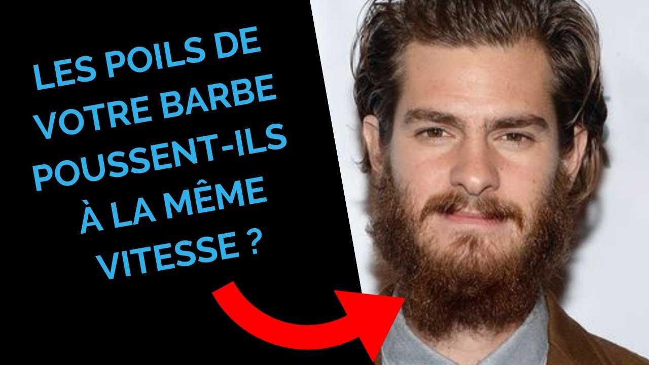 Tous les Poils de Votre Barbe Poussent-Ils à la Même Vitesse ? - Mythe ou  Réalité #4