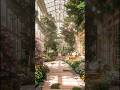 Daydreaming in a Cozy Glasshouse ☀️ Relaxing Nature ambience for Stress Relief