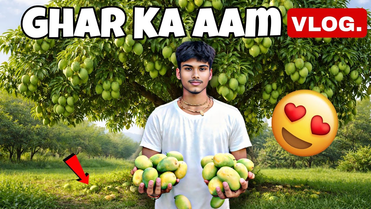 Why India is Obsessed with Mangoes