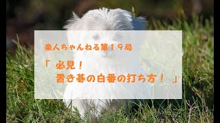 楽人ちゃんねる第１９局「 必見！置き碁白番の打ち方講座！ 」 screenshot 4