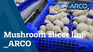 Automatic Mushroom Slicer Machine - Agri & Food Machines - ARCO Solutions screenshot 2