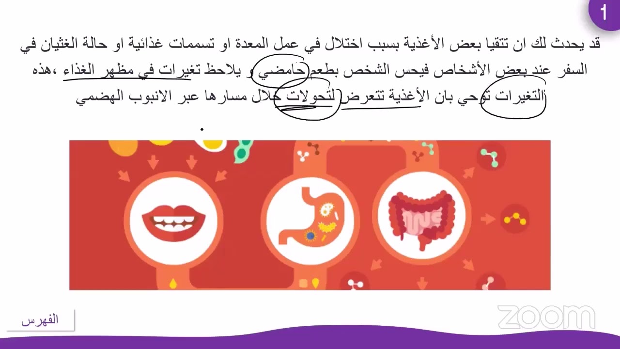حصة البث المباشر رابعة متوسطة هضم النشا في الفم