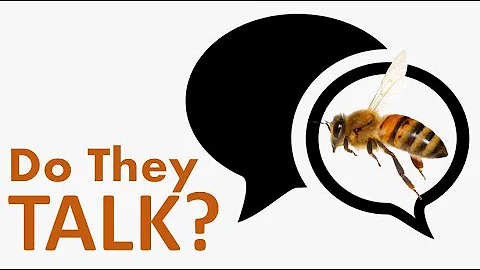 Lesson 2: How Honeybees Communicate?