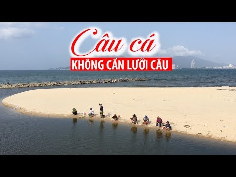 Video Độc đáo câu cá không cần lưỡi câu - youtube
