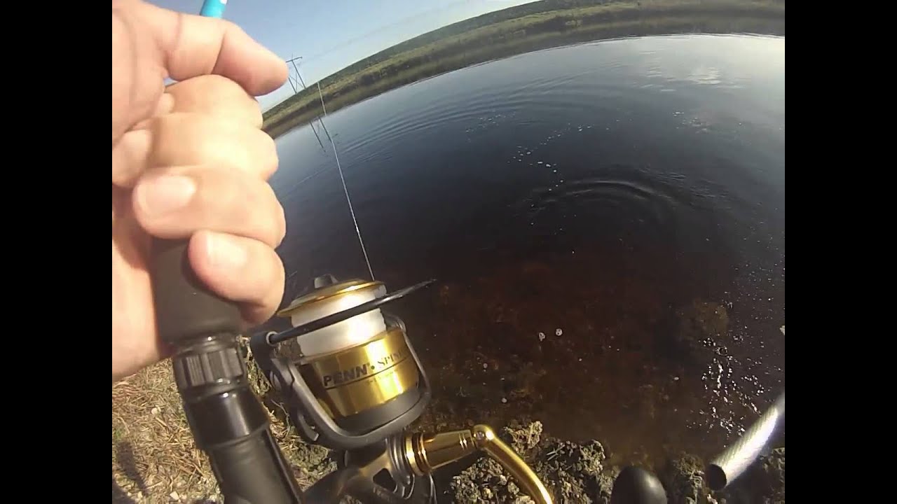 Tarpon Fishing Game Over 8/10/15